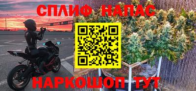 гашик Брянск