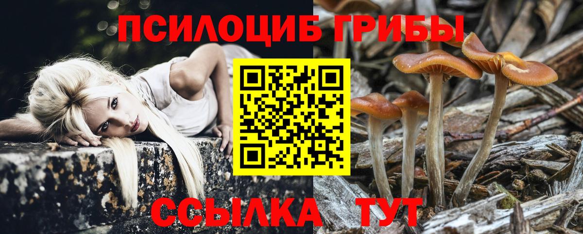 Конаково  Псилоцибиновые грибы GOLDEN TEACHER  Вход с VPN 